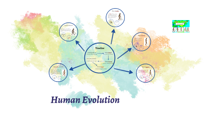 Human Evolution by James Portwin on Prezi
