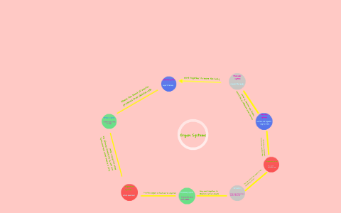 Nervous system by on Prezi