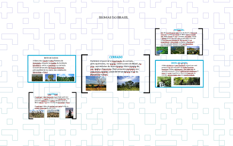 BIOMAS DO BRASIL by vitor yamakawa on Prezi
