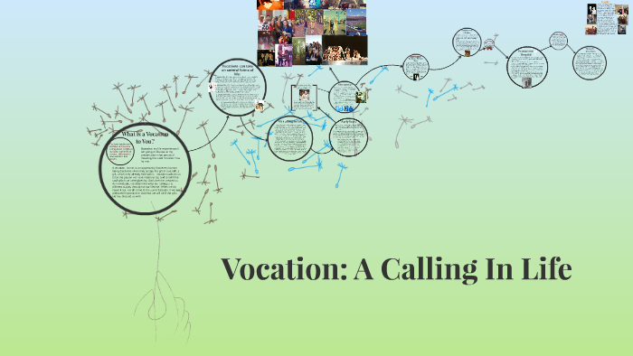 Vocation: A Calling In Life by Hayley Aq