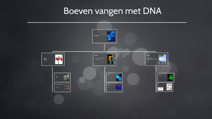 Boeven Vangen Met Dna By Dr. A Seine