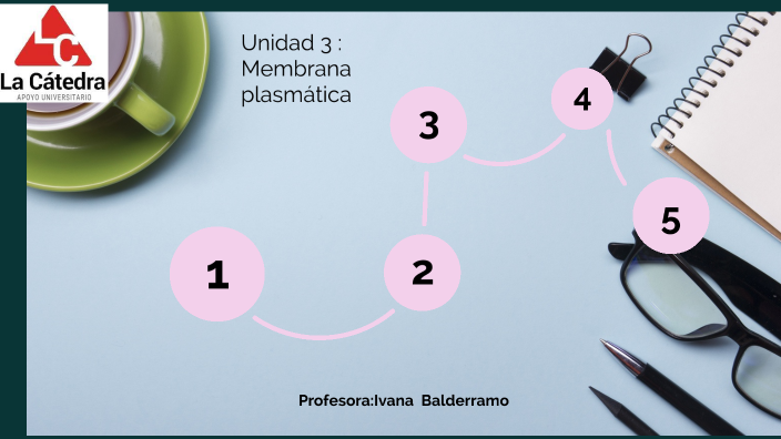 MEMBRANA PLASMATICA- LC By Ivana Lilia Balderramo On Prezi