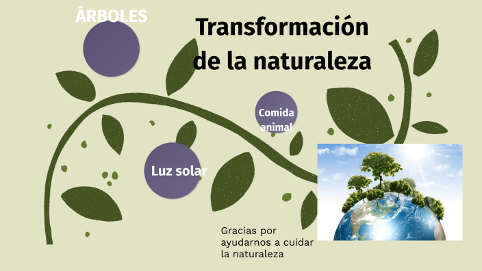 Cómo los seres humanos transforman los elementos de la naturaleza en