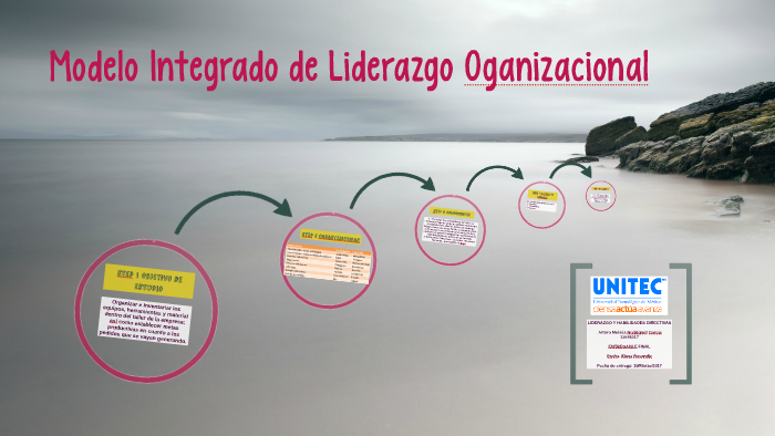 Modelo Integrado de Liderazgo Oganizacional by Alejandra Aguirre