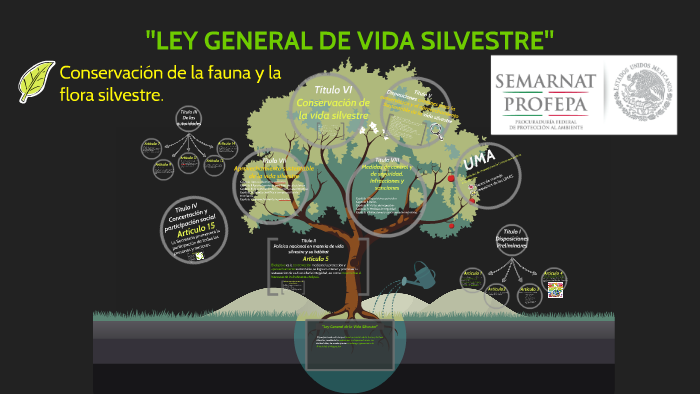 Ley General De Vida Silvestre By Lizeth Castillo On Prezi