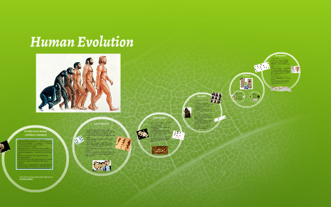 Human Evolution by Tommy Imanov on Prezi