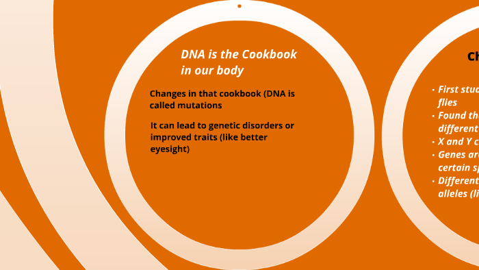 Chapter 12 - Inheritance Patterns and Human Genetics (12) by ...