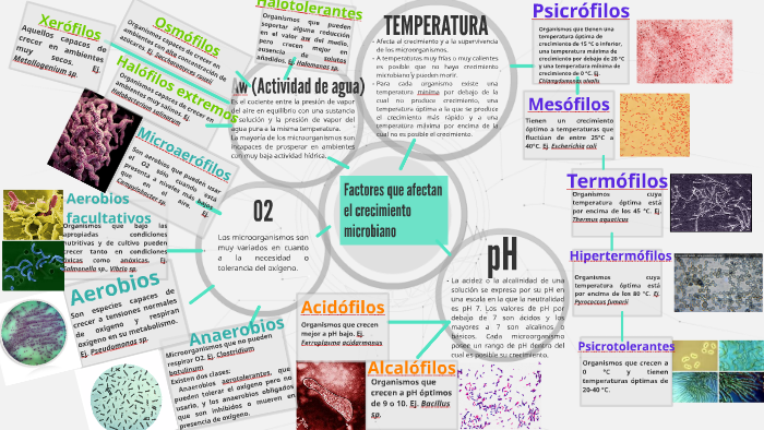 Factores que afectan el crecimiento microbiano by Giovanna Rodas on Prezi