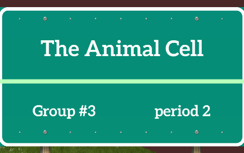 The Animal Cell by Bridgette Anderson on Prezi