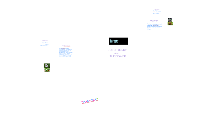 Forests by lilly davis on Prezi