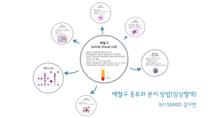 백혈구 종류와 분리 방법 by 다빈 김 on Prezi
