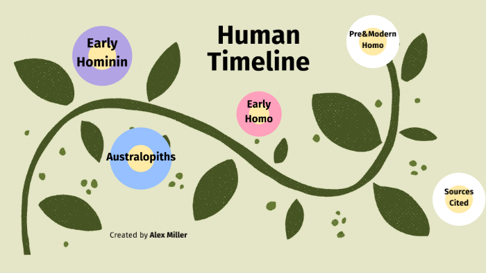 Human Evolution by Alexandra Miller on Prezi