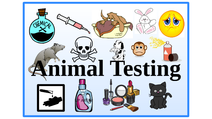 is-animal-testing-ethical