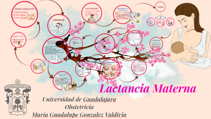 Guía definitiva de la lactancia materna – Artículos Maternales