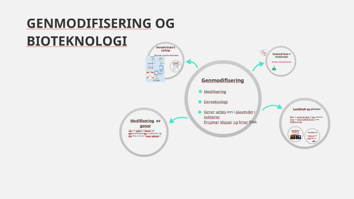 GENMODIFISERING OG BIOTEKNOLOGI By Janniche Enger On Prezi genmodifisering-og-bioteknologi-by-janniche-enger-on-prezi
