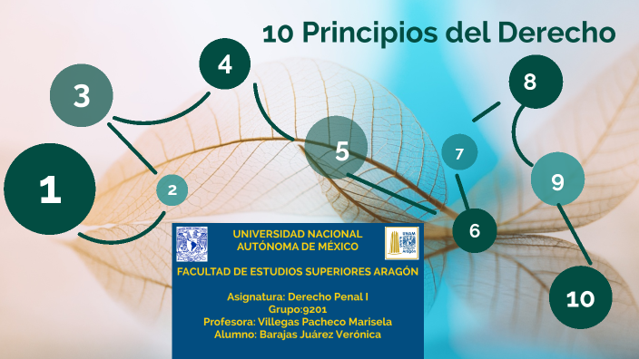 10 Principios Generales Del Derecho By Verónica Barajas On Prezi