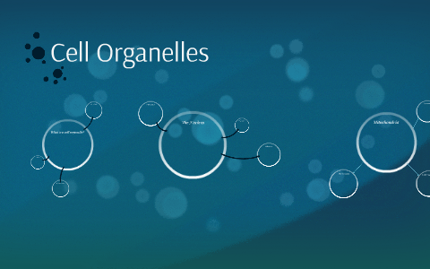 Cell Organelles by kira hopkins on Prezi Next