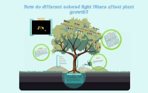 How do different colored light filters affect plant growth?. by Primal ...