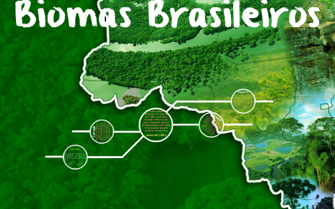 Biomas Brasileiros by Stephannie Souza on Prezi