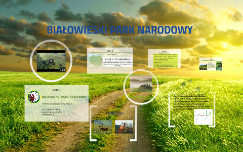 BIAŁOWIESKI PARK NARODOWY by Patrycja Tuchowska on Prezi