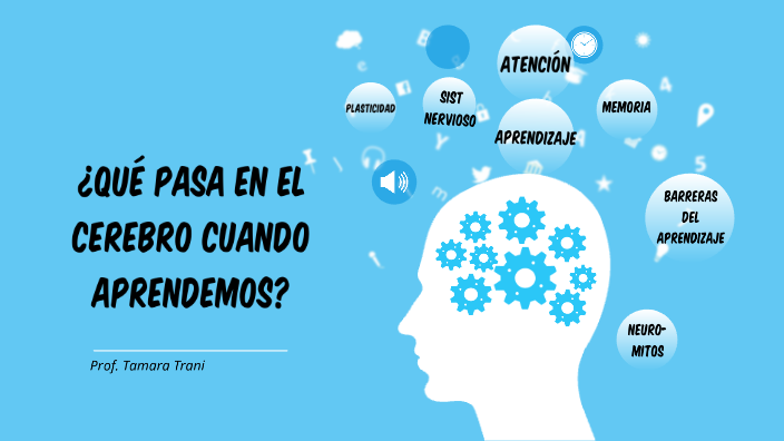 El cerebro y el aprendizaje by Tamara Trani on Prezi