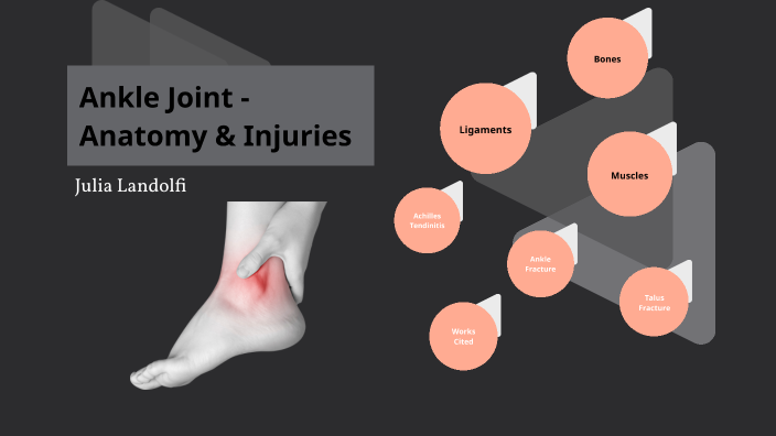 Ankle Anatomy: Muscles and Ligaments