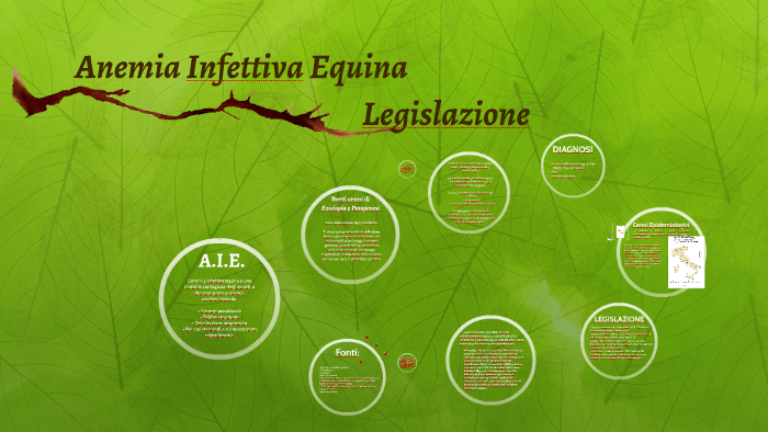 Anemia Infettiva Equina by Mara Meo on Prezi