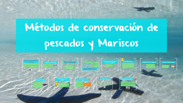 Métodos de conservación de pescados y mariscos by Luisa Estrada on Prezi  Next