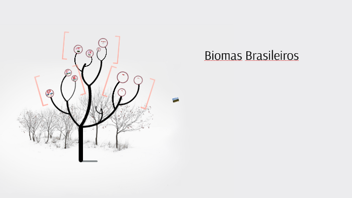 Biomas Brasileiros by Izabelle Pontes on Prezi