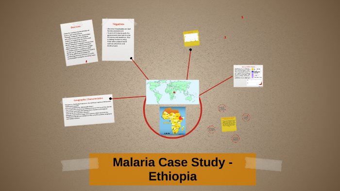 malaria case study location