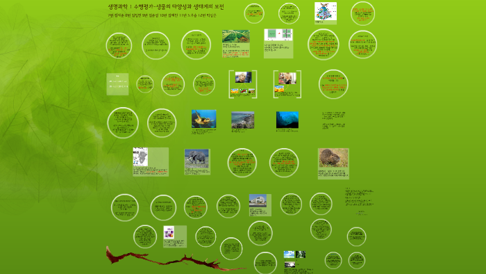 생명과학 1 수행평가생물의 다양성과 생태계의 보전 by 혜찬 김 on Prezi