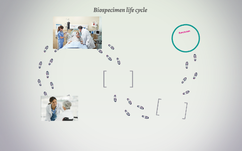 Biospecimen life cycle by dave chesla on Prezi