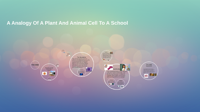A analogy of a Plant and Animal cell to a School by tarnpreet Saroya on ...