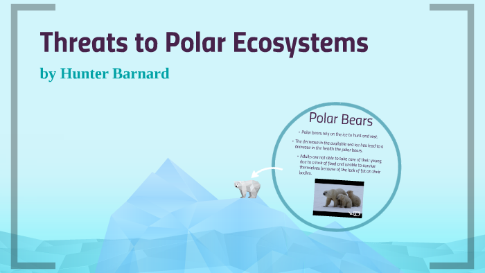 Threats to Polar Ecosystems by Hunter Barnard