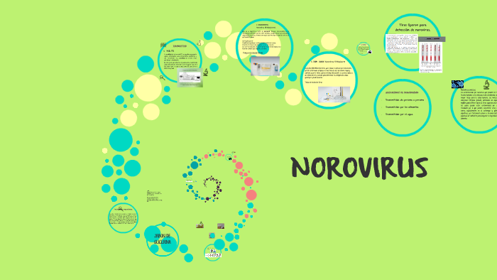 norovirus presentation prezi