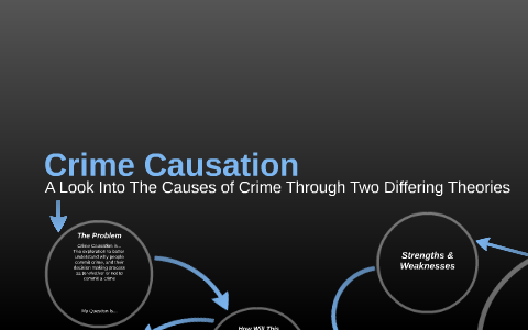 essay about crime causation