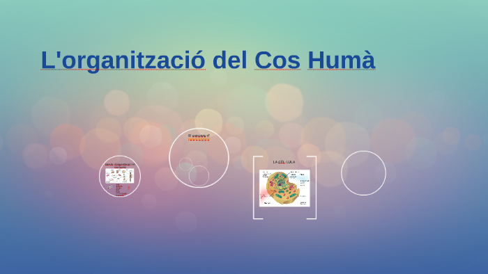 L'organització del Cos Humà by Montse Barriga on Prezi