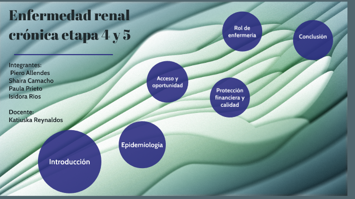 etapas de la enfermedad renal