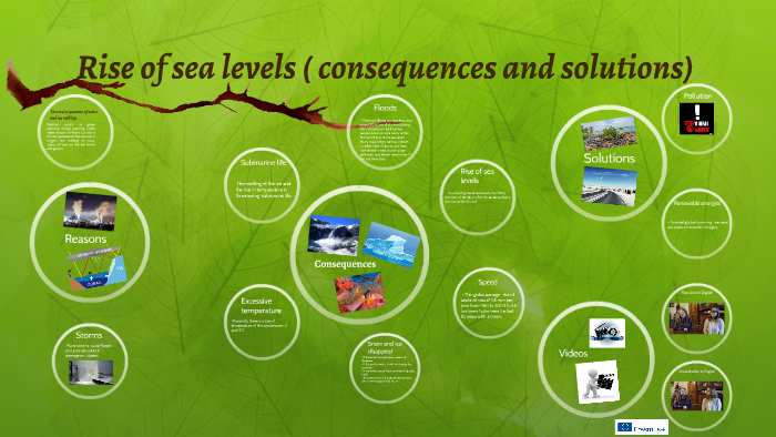 Rise of sea levels ( consequences and solutions) by elise radureau on Prezi