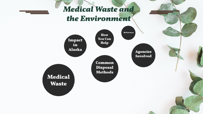 Prezi Medical Waste Disposal and the Environment by Amber Sweet on Prezi