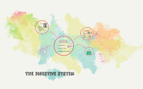 The Digestive system by kelsey love on Prezi