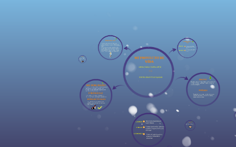 Mi proyecto de vida by diego fabian torra ortiz on Prezi
