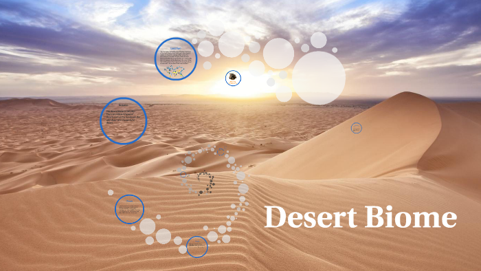 Desert Biome Presentation by Natalie Allen on Prezi