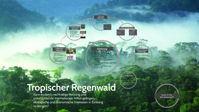 Tropischer Regenwald By Yannick Hejzlar On Prezi Next