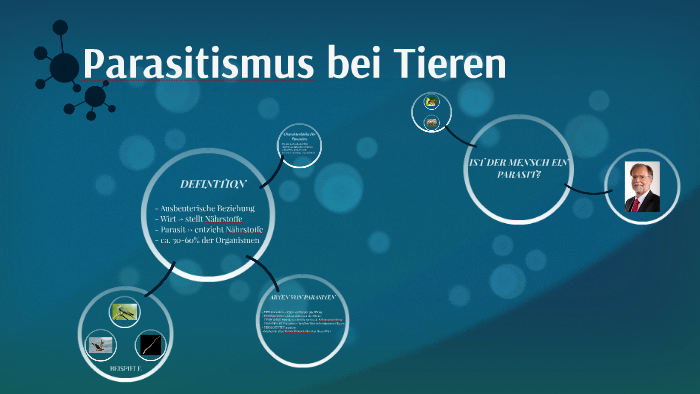 Parasitismus Bei Tieren By Hanna Gan