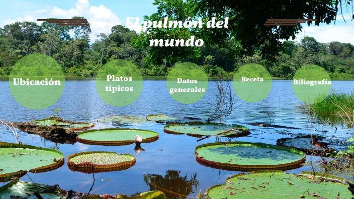 Región amazonica by Angie Marulanda on Prezi