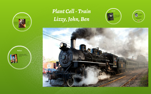 Plant Cell by on Prezi