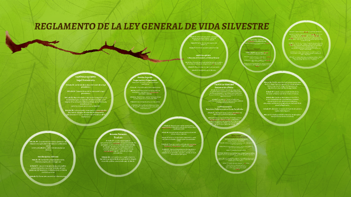 REGLAMENTO DE LA LEY GENERAL DE VIDA SILVESTRE by Indris Huchim on Prezi