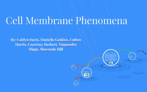 Cell Membrane Phenomena by caitlyn davis on Prezi