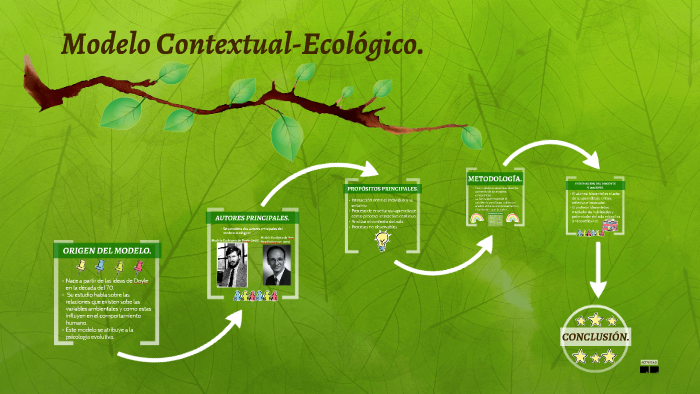 Total 78+ imagen modelo didactico contextual ecologico